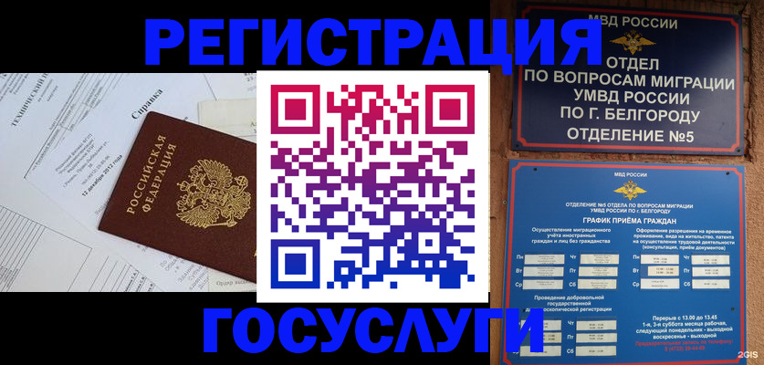 временная прописка в Зеленоградске